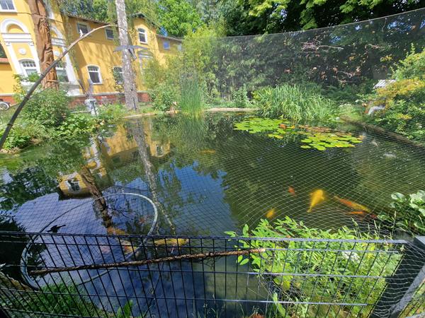 Impression vom Grundstück – Bild 5