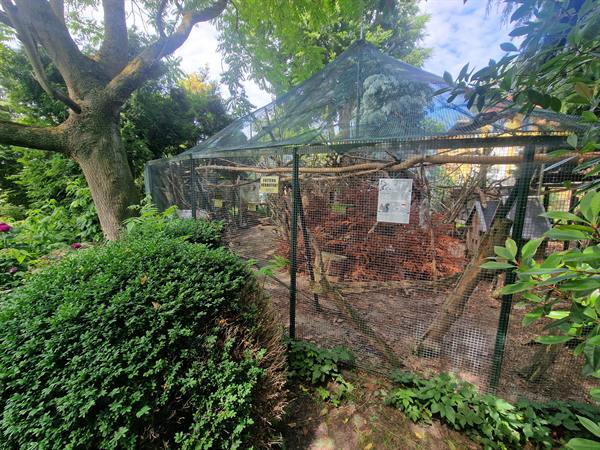 Impression vom Grundstück – Bild 8