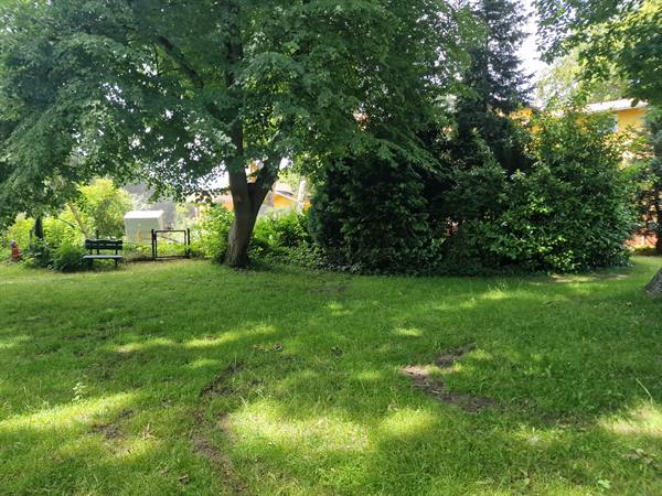 Impression vom Grundstück – Bild 9