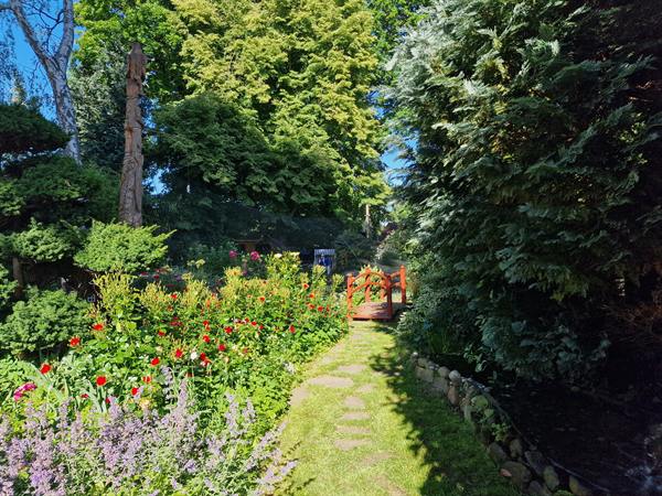 Impression vom Grundstück – Bild 15