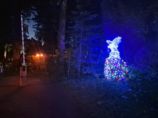 Impression vom Grundstück – Bild 26